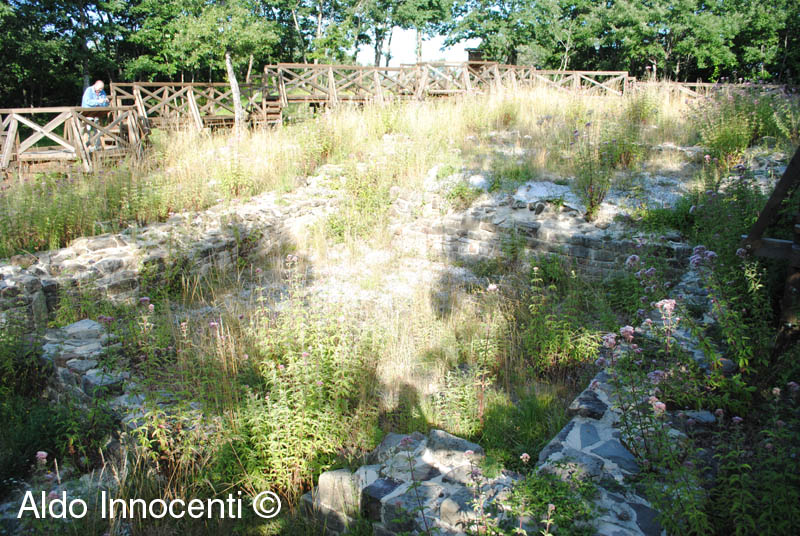 OSPITALE DI SAN NICOLAO AL PASSO TEA: RUDERI DELL'OSPITALE 2' IMMAGINE